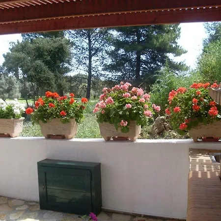 Villa Amelia